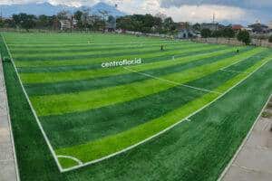 Lapangan Sepak Bola dengan Rumput Sintetis