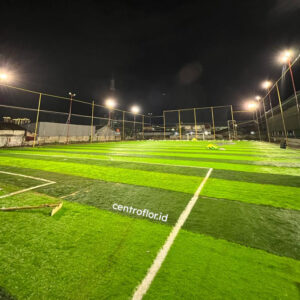 Rumput Sintetis Lapangan Mini Soccer