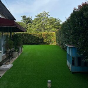 karpet rumput sintetisswiss