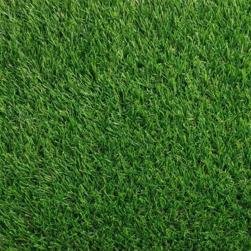 Rumput Sintetis CF-Swissturf 3 cm 2